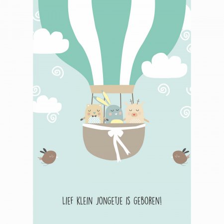 Geboorte Lief klein jongetje is geboren